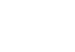 Diamond Door Products logo